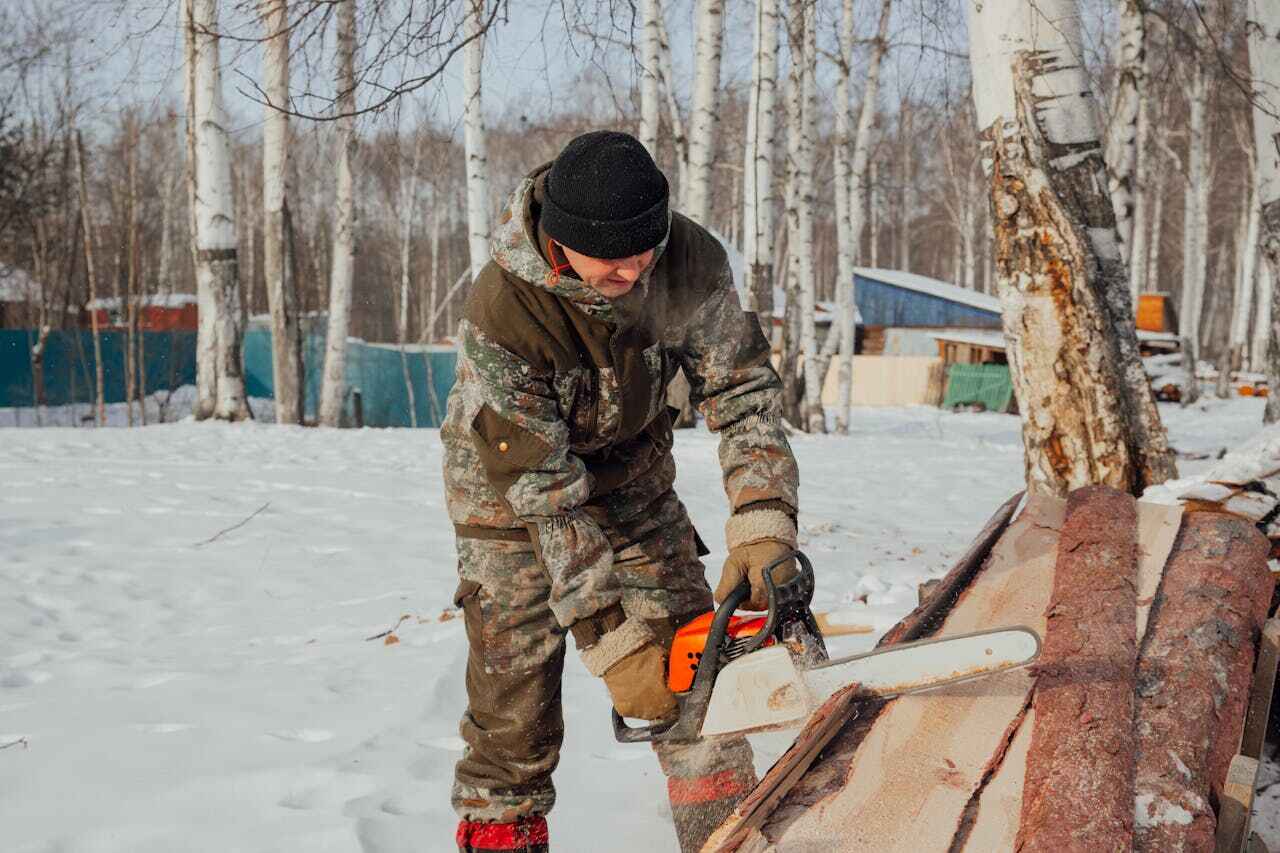 Best Tree Cutting Near Me  in Calverton Park, MO